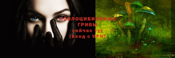 винт Аркадак